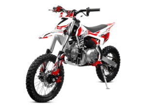 Pit Bike DORADO 110 cc S.A 14"/12"