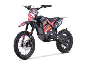 ECO Tiger VX DLX 1600W 48V 14/12