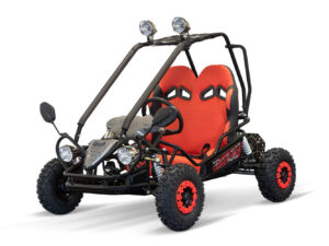 ECO BUGGY 750W 60V