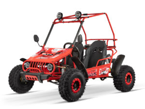 MIDI BUGGY 125cc 8" XL 3 Marce